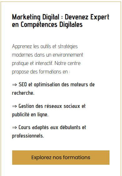 Aperçu des modules de marketing digital sur Didactica : réseaux sociaux, SEO, publicité en ligne et email marketing
